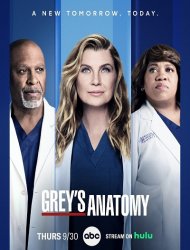 Grey's Anatomy SAISON 20