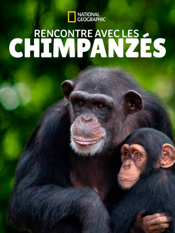 Rencontre avec les chimpanzés SAISON 1