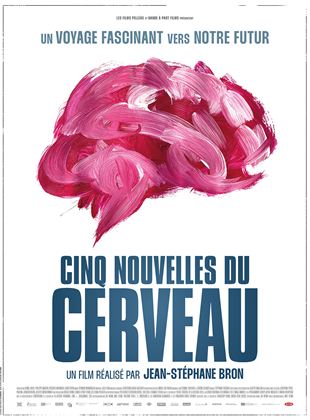 Cinq nouvelles du cerveau