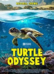 Turtle Odyssey